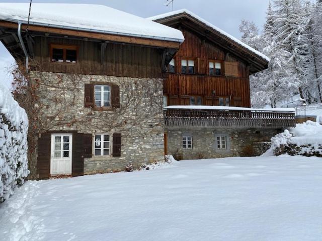 The Nest Villa Les Gets Kültér fotó